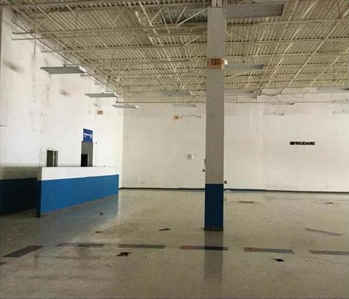 Retail store, emptied out, covered in mold