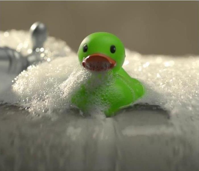 SERVPRO green duck in bubbles 